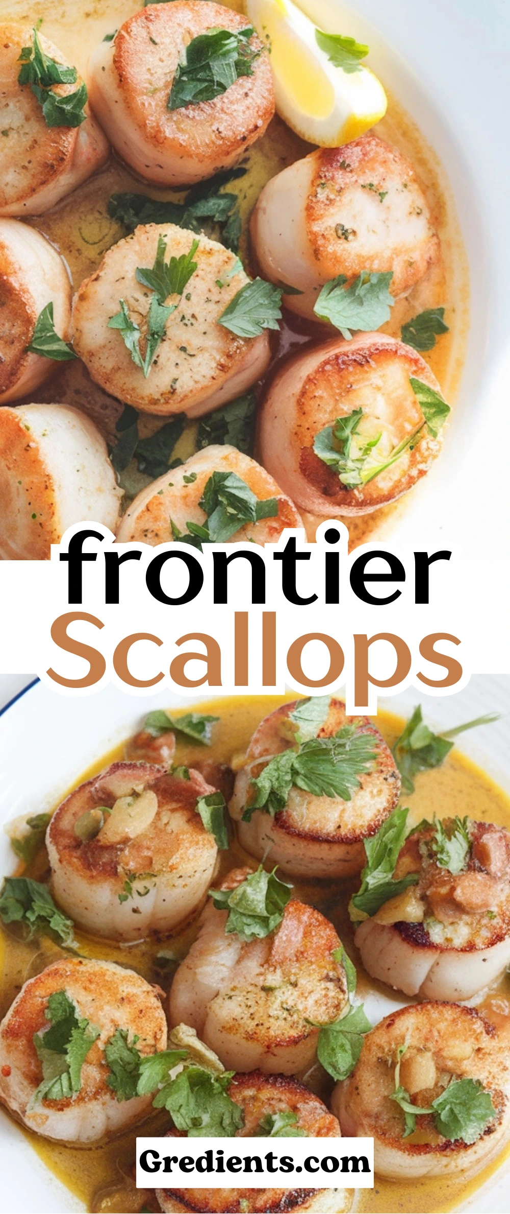 frontier Scallops